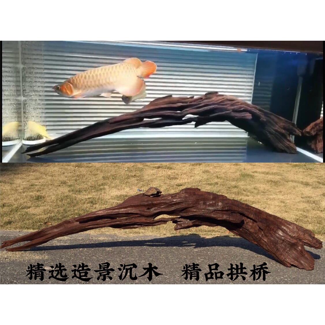 四方沉木鱼缸造景拱桥龟晒台爬宠攀爬晒台南美缸水草摆件紫柚沉木