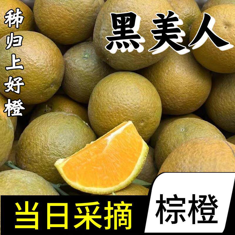 顺丰黑美人棕橙秭归脐橙子10斤整箱礼盒新鲜手剥水果应季甜大橙子