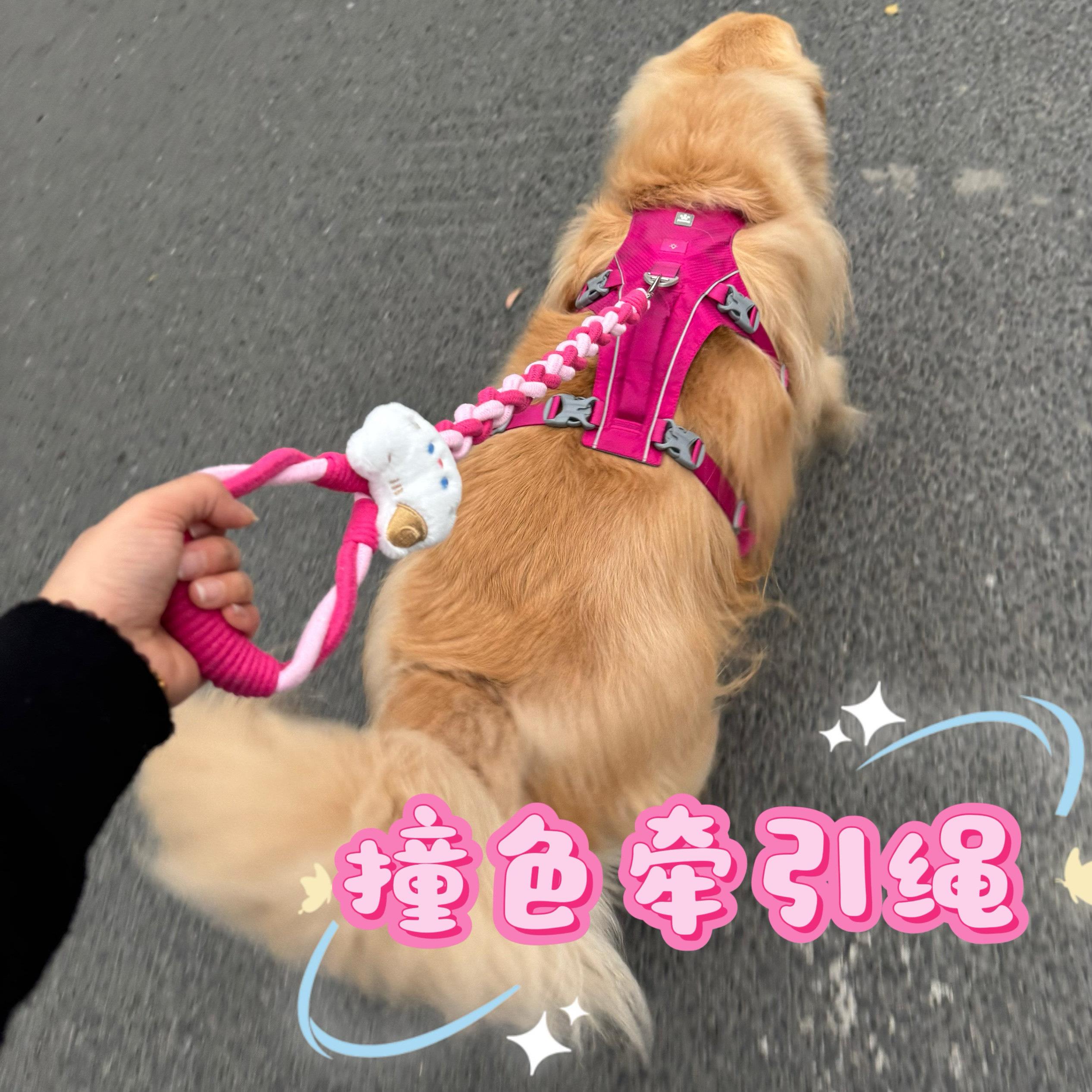 宠物牵引绳中大型犬加粗遛狗绳子编织不勒手耐咬一拖二p绳防爆冲