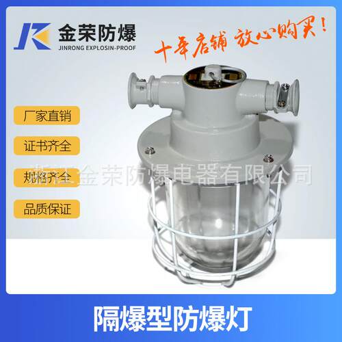 BCD隔爆型防爆灯 防爆节能灯 防爆灯 油库油站灯100W200W250W
