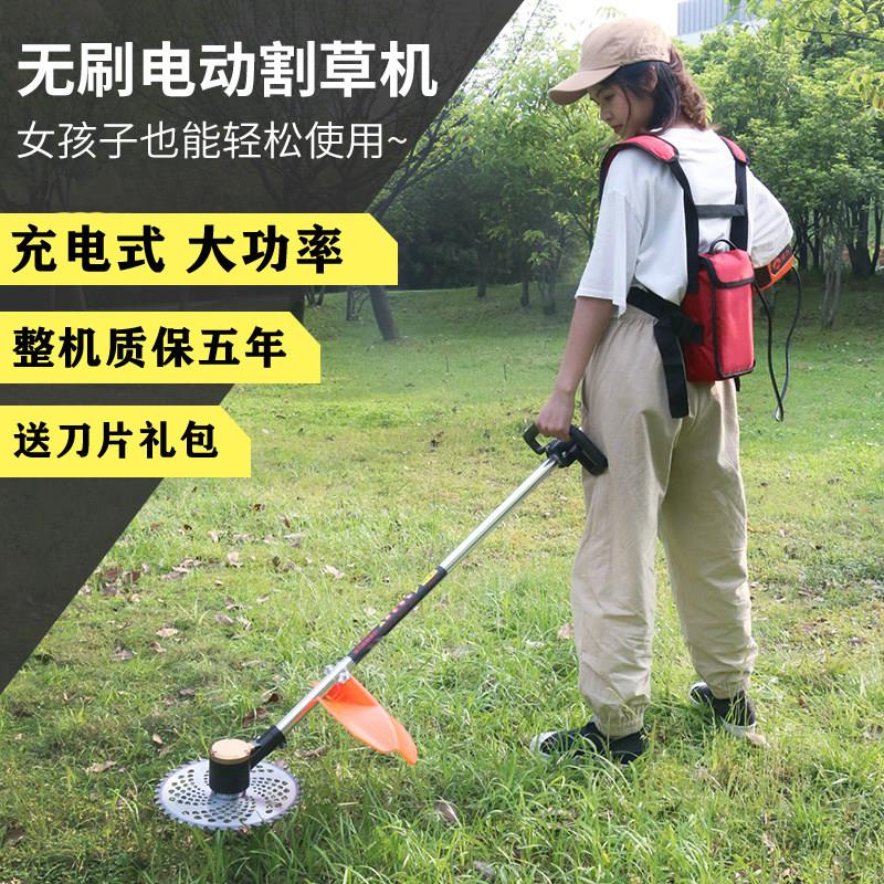 充电式无刷割草机 家用锂电打草机 农用除草机川助品牌48v