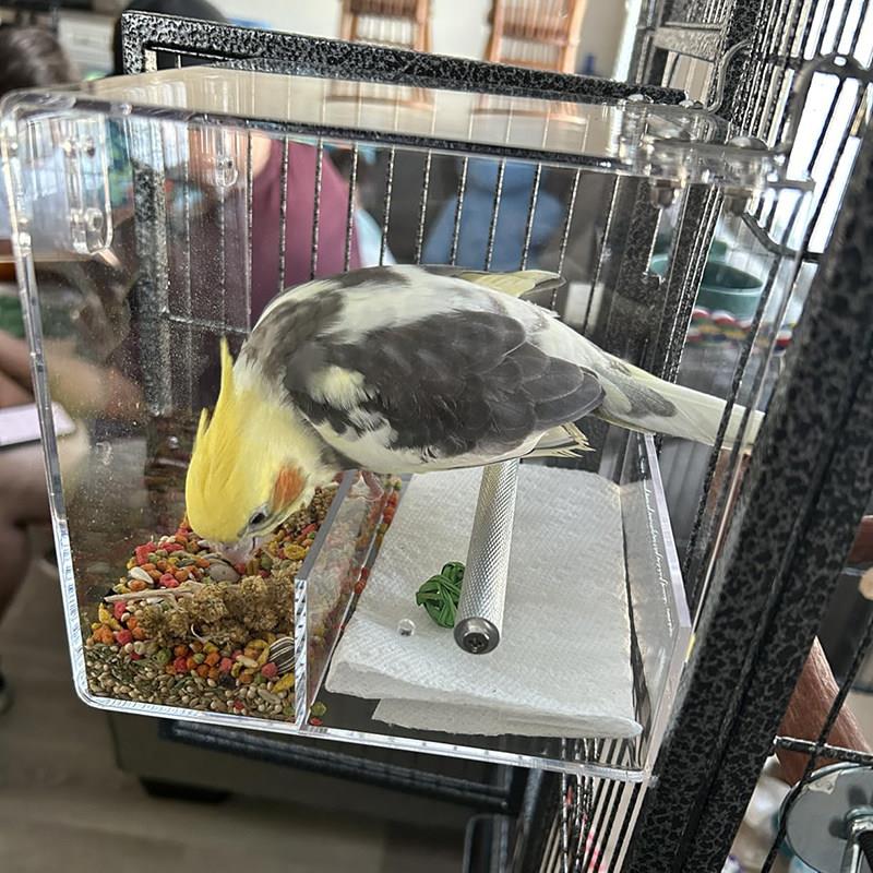 厂家直销亚克力鹦鹉自动喂食器 鸟类防撒食盒 宠物自动喂食器