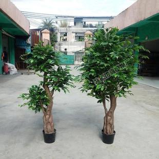吹塑杆假榕树叶家居摆放轻巧盆栽绿植小树1.8米 高品质仿真绿榕树