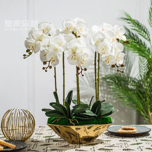 高端仿真蝴蝶兰花假花卉插花艺室内客厅桌面前台摆件装饰摆设盆栽