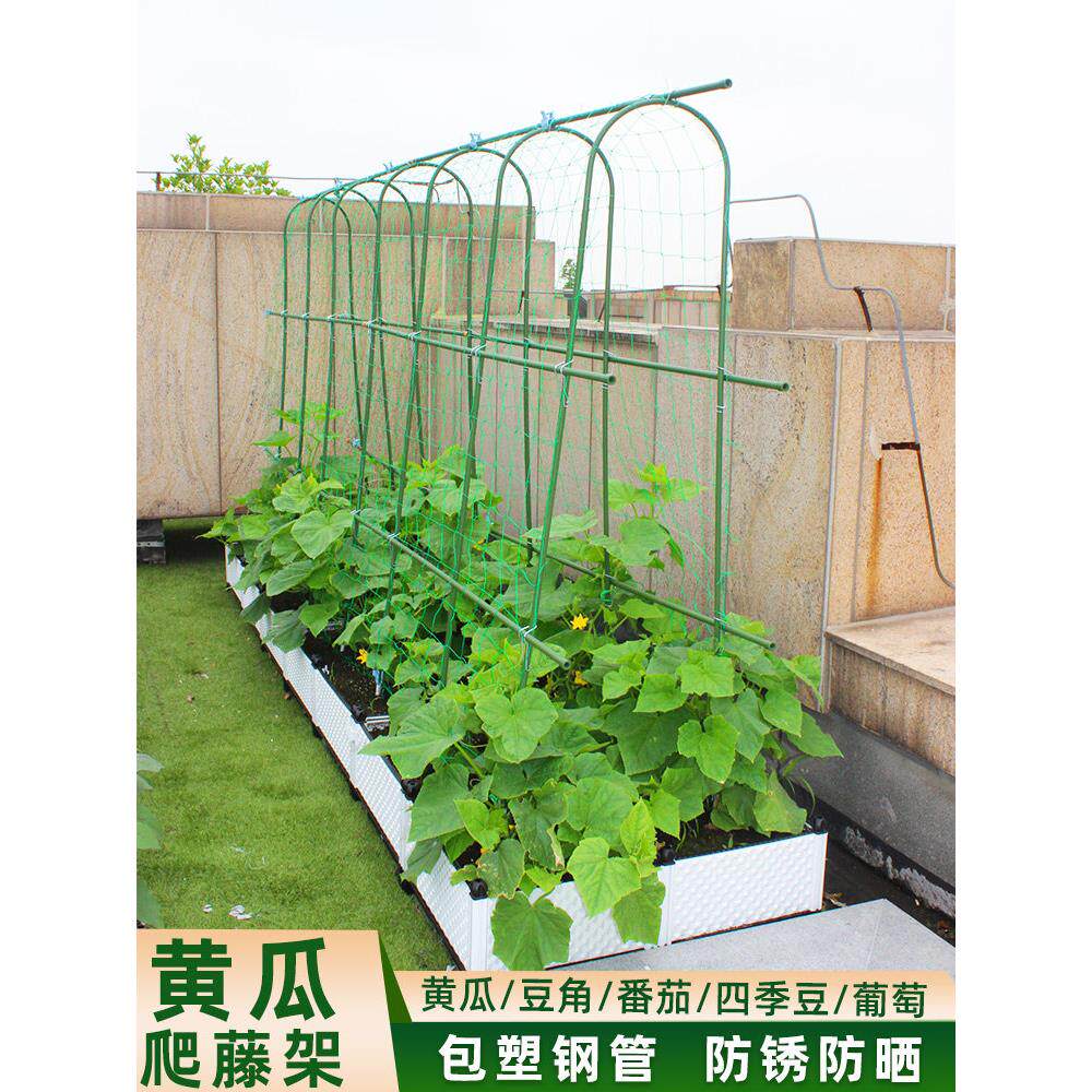 黄瓜爬藤架豆角架杆蔬菜棚西红柿架种菜农用拱棚爬架搭架子种植箱