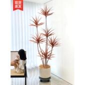 饰品大型室内优雅 装 饰客厅地板站立 模拟绿色植物红色千年木装