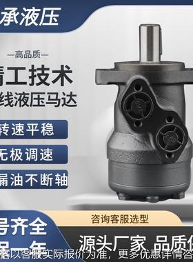 国产替代M439989A 103-2028 TE0165AP100AAAA 液压马达