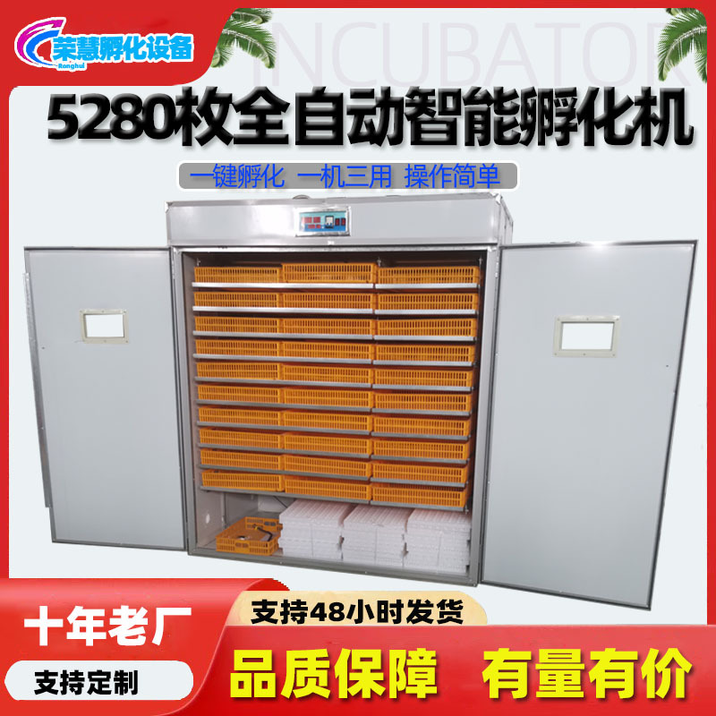 源头产地小鸡 孵化器 智能家用小型孵蛋器 大型全自动恒温孵化机