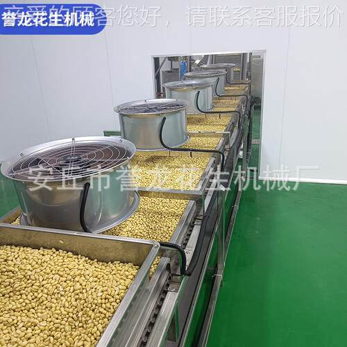 花生米炸生产酒鬼花生油生产线XGG休水闲食品加工麻线辣花生生产