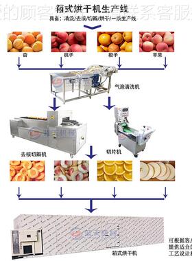 海棠果烘NWV干机 八海沙棠果切片干海果烘干生产线红 果干果脯棱