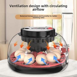 HHD新款孵化器小型家用鸡鸭家禽鹦鹉鸽子鸟类孵蛋器全自动孵化机