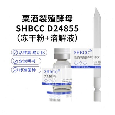 粟酒裂殖酵母SHBCC D24855 5 °Bé麦芽汁琼脂培养基25-28℃培养