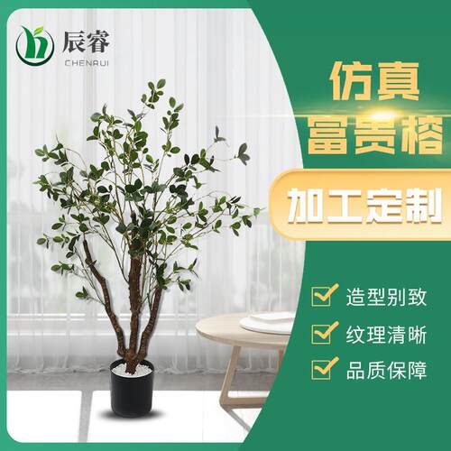 仿真植物富贵榕盆栽 绿植装饰盆景Simulation green plant跨境