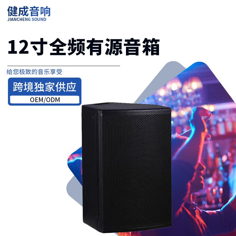 大功率12寸全频有源音箱聚会派对酒吧K歌娱乐音响演唱会舞台音响