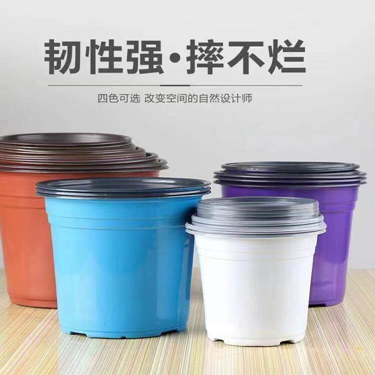双色盆加厚双色盆育苗盆外白内黑多肉花盆简易盆白色双色盆