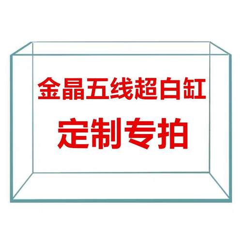 定制专拍金晶五线超白缸溪流缸方缸矮缸水族造景泰狮兰寿生态缸