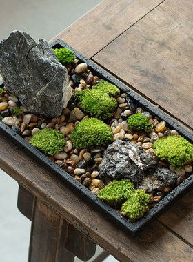 创意盆景乌金石桌面禅意小摆件田园空间装饰品中国风Y茶道绿植微