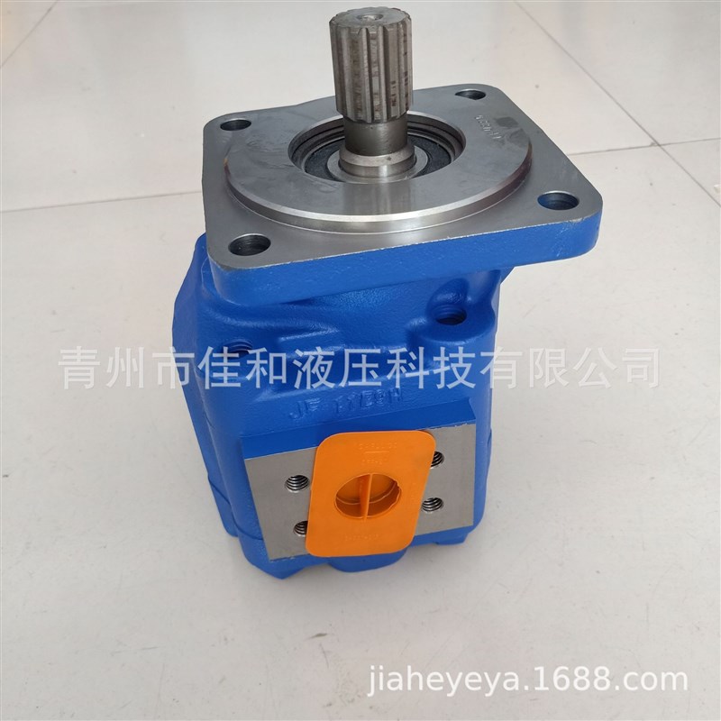 柳工862工作泵 11C0318齿轮泵C 厂家直供 运行有力 装载液压泵机