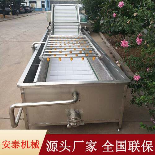 荔枝多功能气泡清洗机广东荔枝清洗分级机芒果全自动清洗分级机