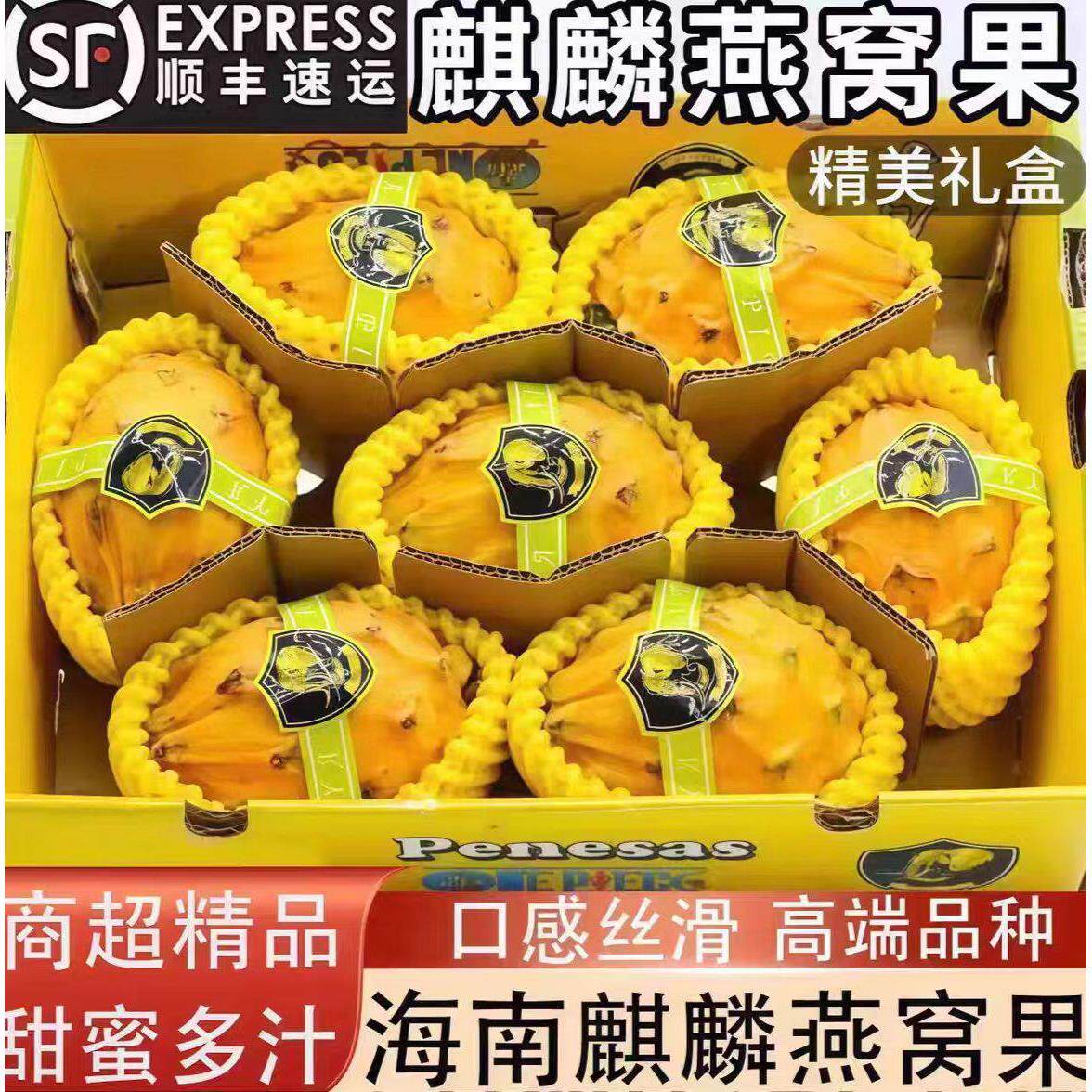 海南三亚燕窝果火龙果麒麟果树上熟当季新鲜水果孕妇水果礼盒包装