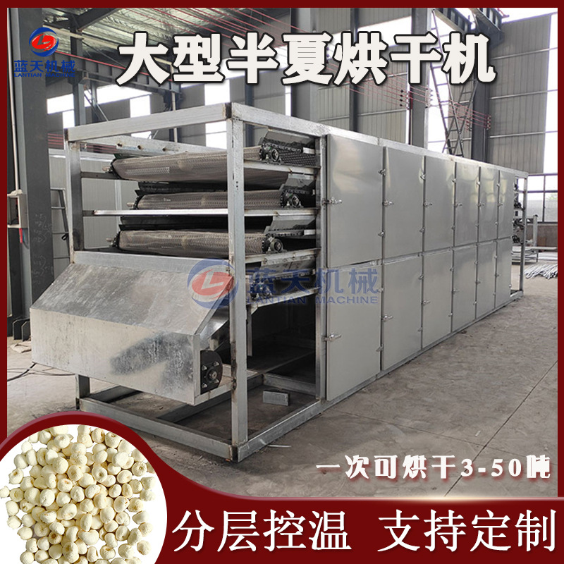 网带三叶半夏烘干机 三步跳地文电加热干燥机 全自动半夏烘干设备