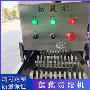 现货荔浦芋头切段机输送式西胡黄瓜切段设备胡萝卜输送切段机