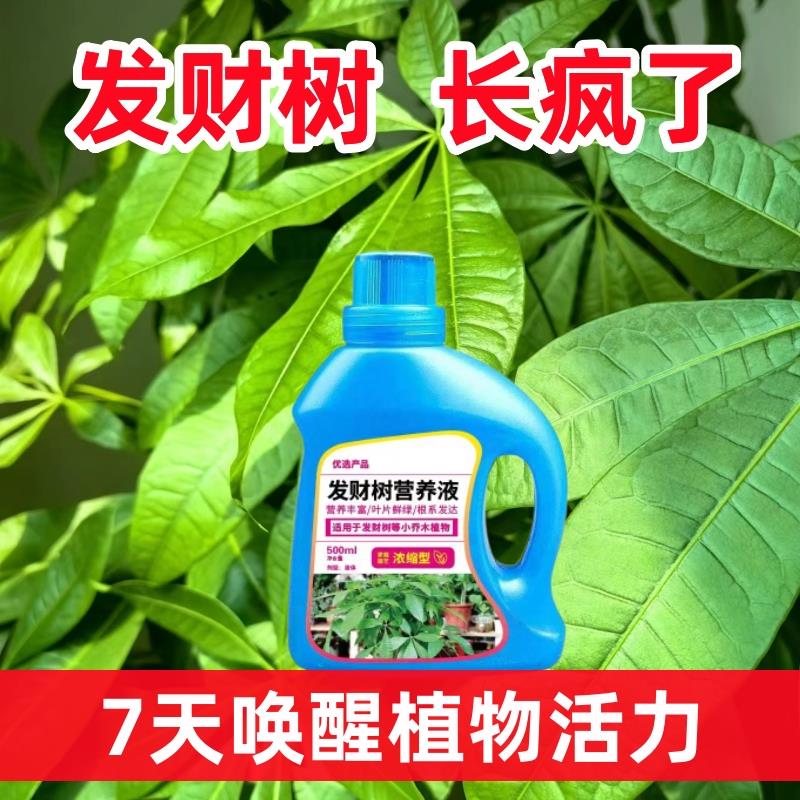 发财树营养液黄叶烂根黑斑专用肥强力生根液家用盆栽水培植物肥料