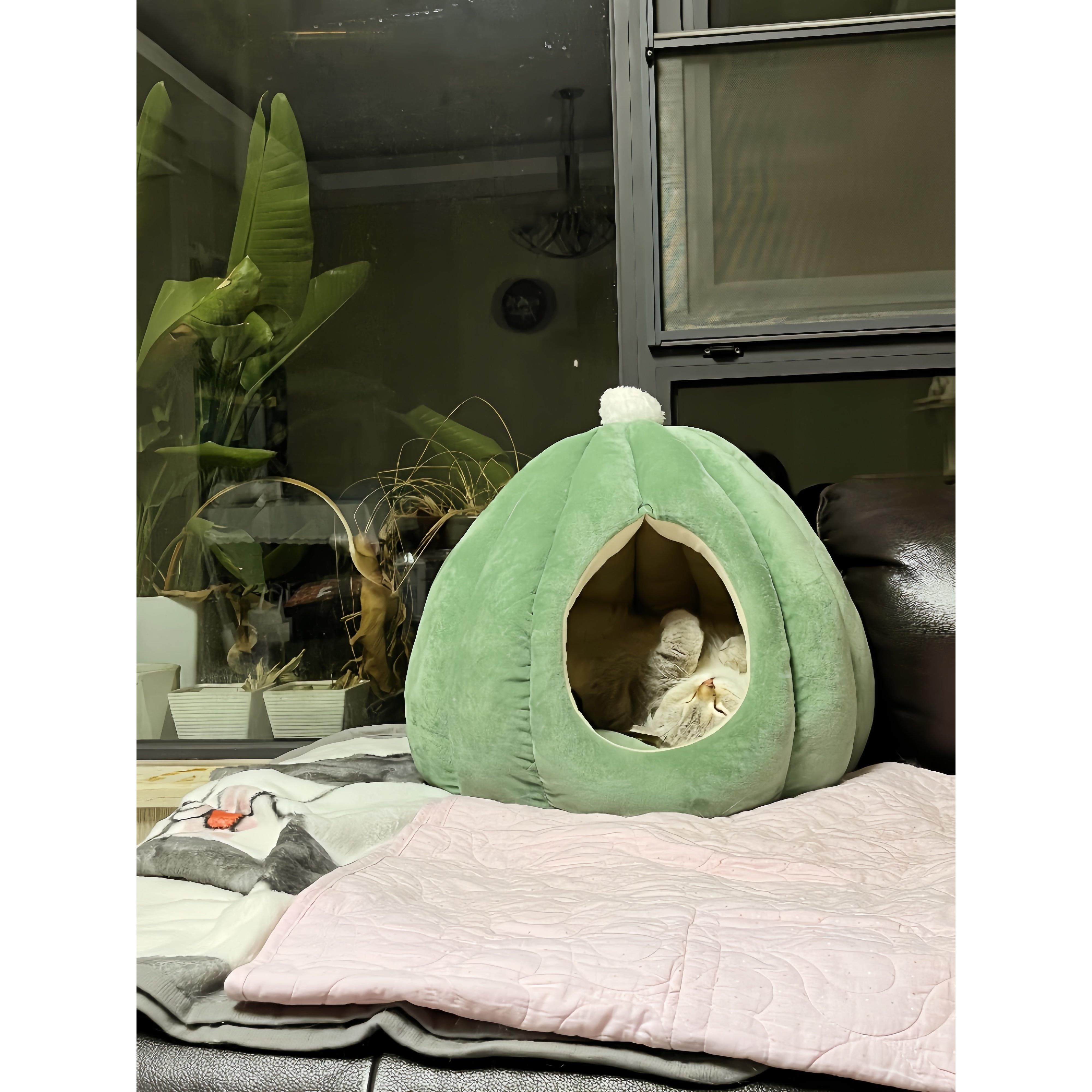 仙人球猫窝四季通用半封闭式秋冬季保暖安全感宠物睡垫可拆洗沙发,宠物/宠物食品及用品,猫窝/屋/帐篷/沙发,淘宝优惠券,粉丝福利购,淘宝优惠卷