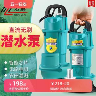 直流潜水泵12V24V48V60V伏家用电动车抽水机农用小型电瓶车抽水泵
