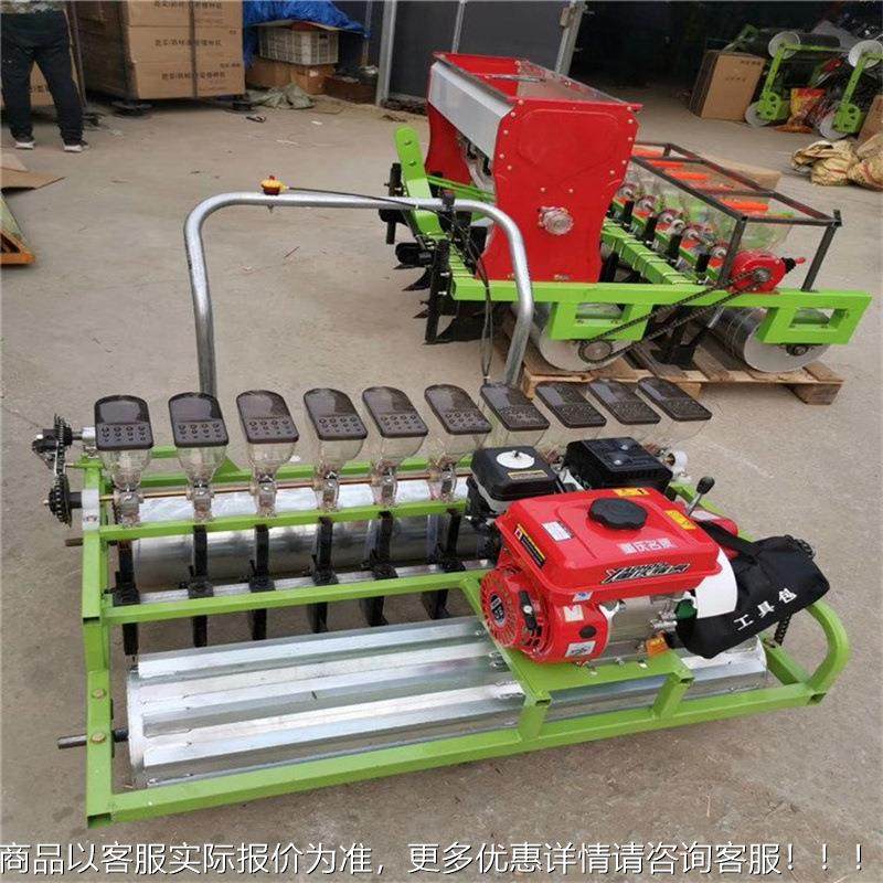 动手推式粒小葱韭种菜VGK精播机手推6行汽油蔬菜播种机小种子播电,农机/农具/农膜,播种栽苗器/地膜机,淘宝优惠券,粉丝福利购,淘宝优惠卷