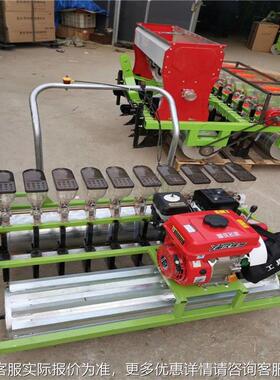 动手推式粒小葱韭种菜VGK精播机手推6行汽油蔬菜播种机小种子播电