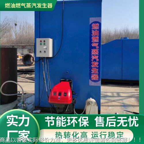电蒸汽锅炉梁桥护BOX养食品蒸化工燃气煮小型蒸汽锅炉