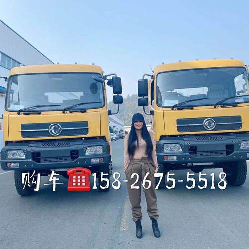 右舵东风天锦自卸货车非洲矿区翻斗工程车15吨矿区车4驱