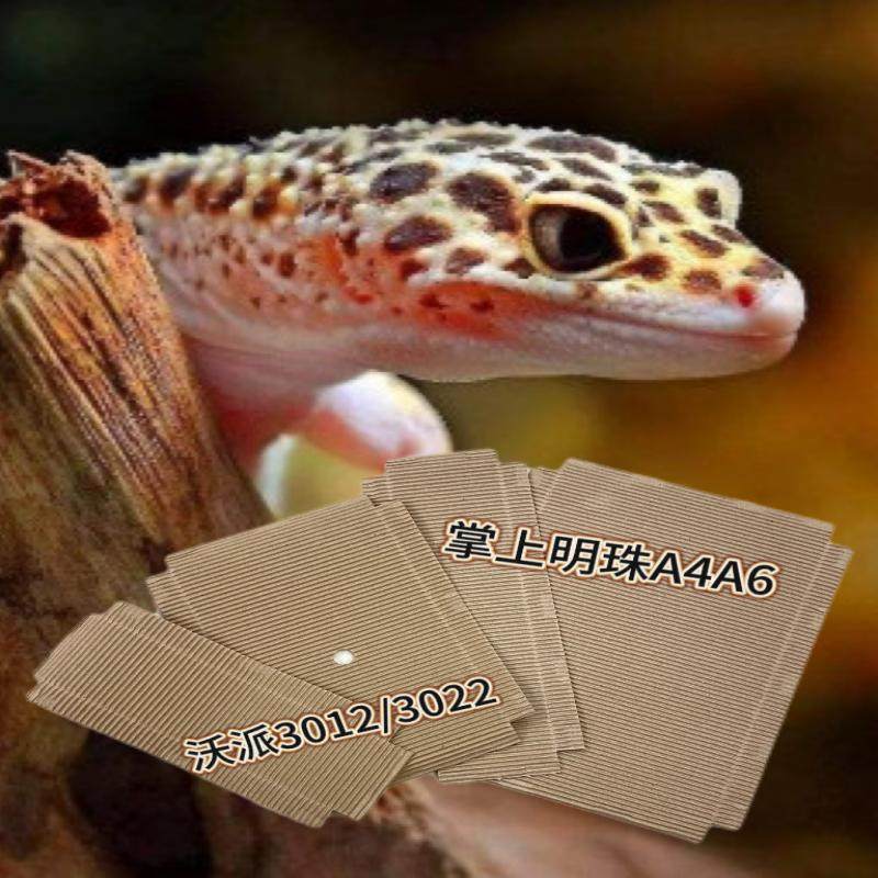 加厚瓦楞纸爬宠垫料掌上明蛛a4a6沃G派包边垫材纸守宫蛇宠物尿垫,宠物/宠物食品及用品,爬宠垫料,淘宝优惠券,粉丝福利购,淘宝优惠卷