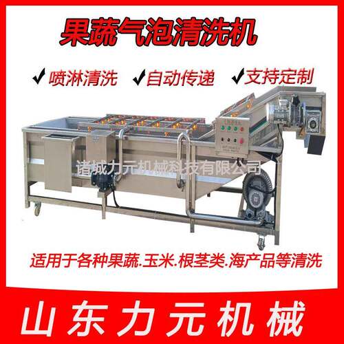 商用气泡清洗机全自动大枣鼓泡清洗机多功能喷淋清洗设备厂家供应