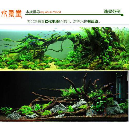 沉木造景套餐紫柚木鱼缸树桩形鱼虾躲避乌龟晒台南美水草拱桥树根