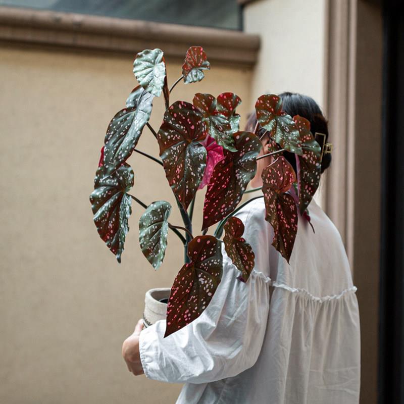 彷真绿色植物假盆栽摆件秋海棠室内装饰北欧客厅假花彷生植物盆景