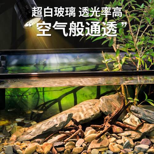 桌面超白玻璃南美风溪流造景客厅小型鱼龟共养生态新款鱼缸乌龟缸