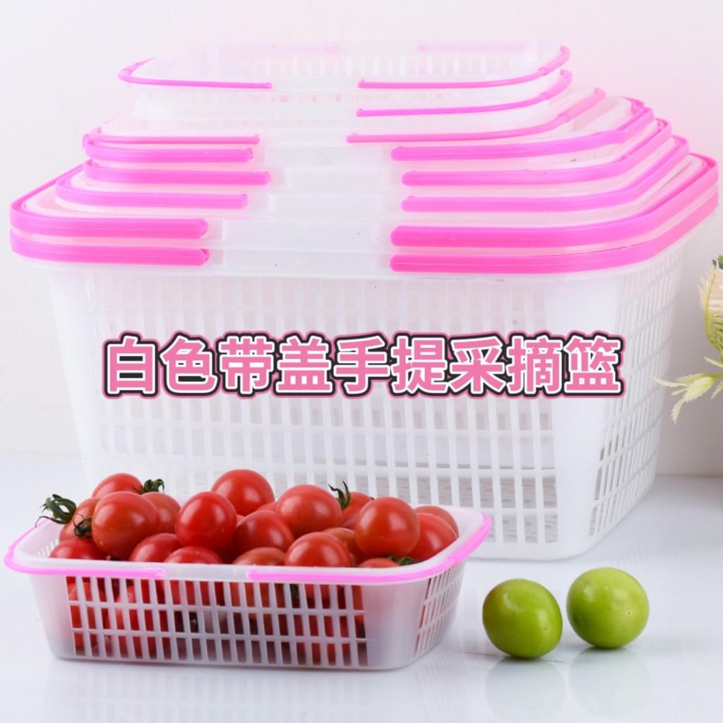 白色2-6斤水果塑料采摘草莓篮白色杨梅框樱桃一次性有盖方形篮