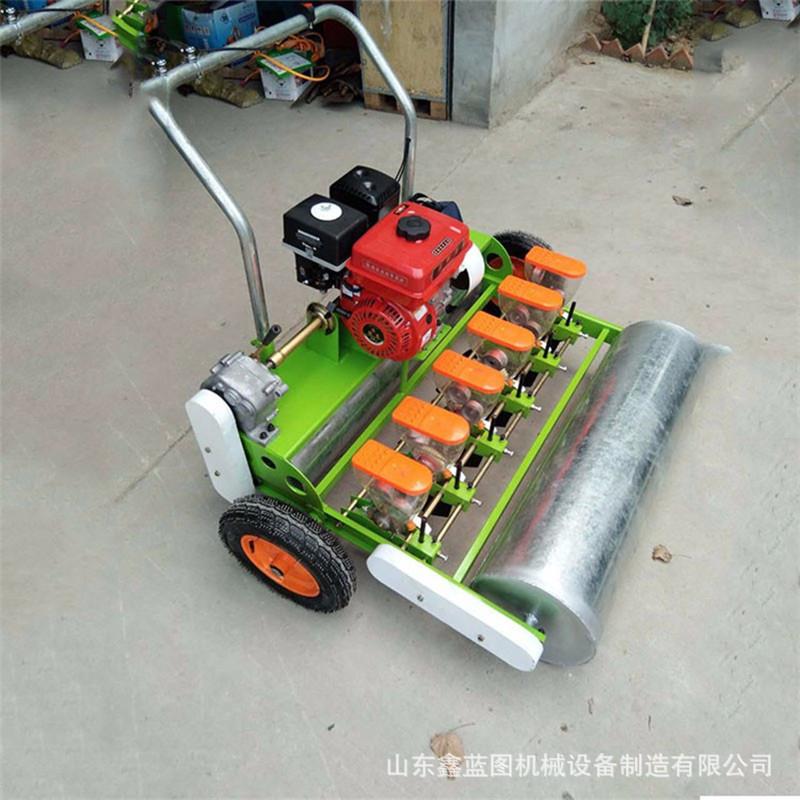 汽油自走式蔬菜药材精播机小粒花种点播机菠菜香菜大葱精量播种机