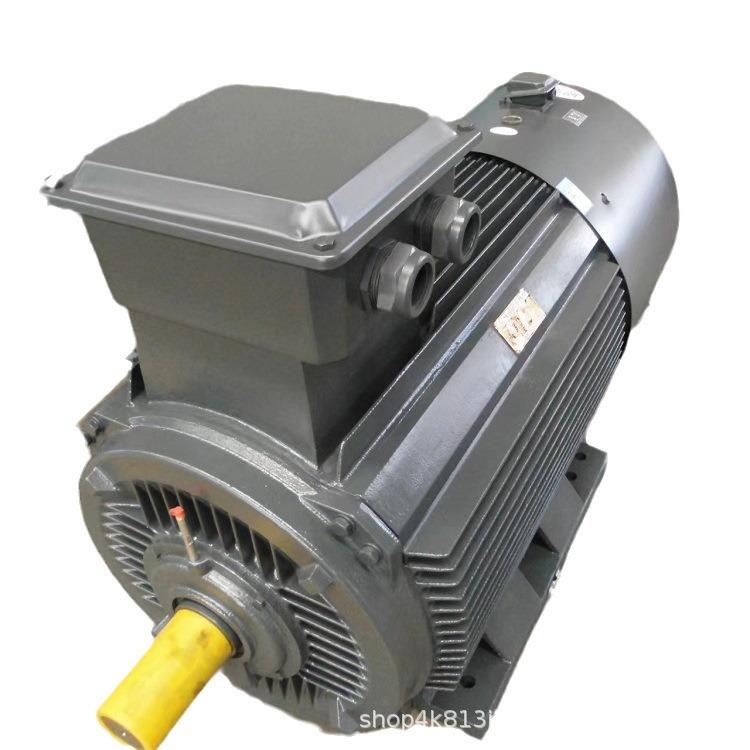 YE2YE3YE4高效节能电机75w132w出口朝鲜欧美200w185w