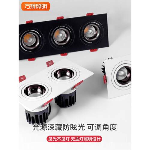 澳大利亚联邦科学与工业研究组织