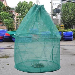 饲养网箱网布养鱼专用网箱暂养鱼小网箱鱼笼养鱼螃蟹龙虾防逃网