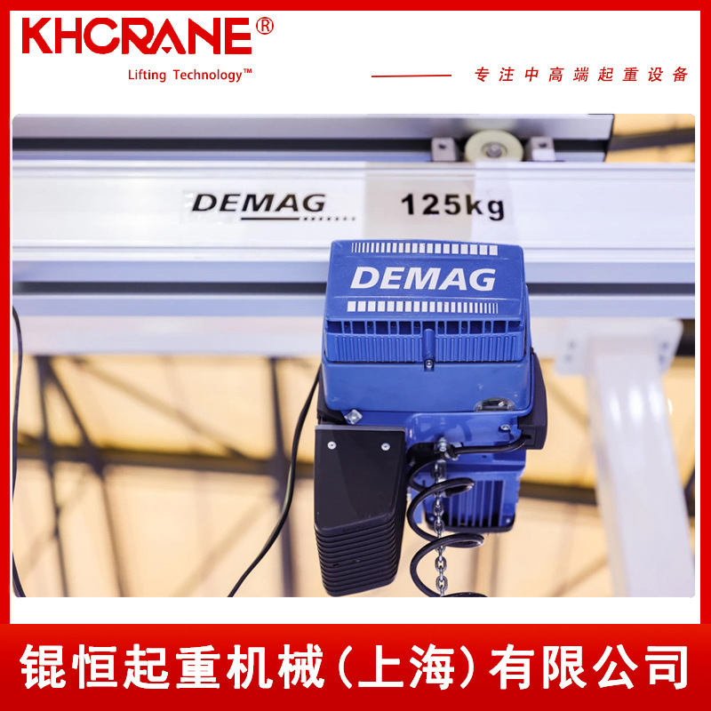 德马格125kg电动葫芦 DC-Com1-125  V8/2 1/1 H4