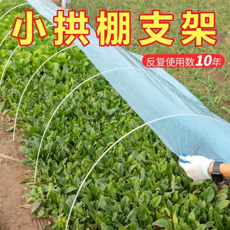 农用菜棚支架小拱棚育苗蔬菜菜园菜地温室大棚骨架玻璃纤维支厂家