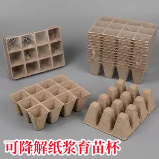 可降解一次性纸浆育苗杯苗圃培育纸浆模塑育苗钵育苗杯纸浆育苗盘