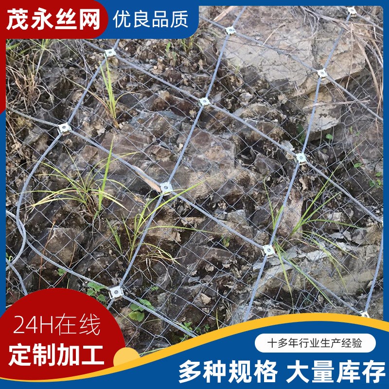 厂家供应主动边坡防护网 镀锌钢丝边坡防护网柔性护坡固土防护网