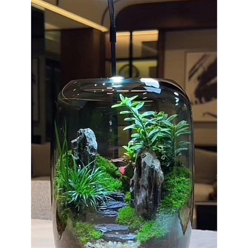 【生命之树】苔藓微景观生态瓶创意桌面成品盆景绿植盆栽鲜活绿植