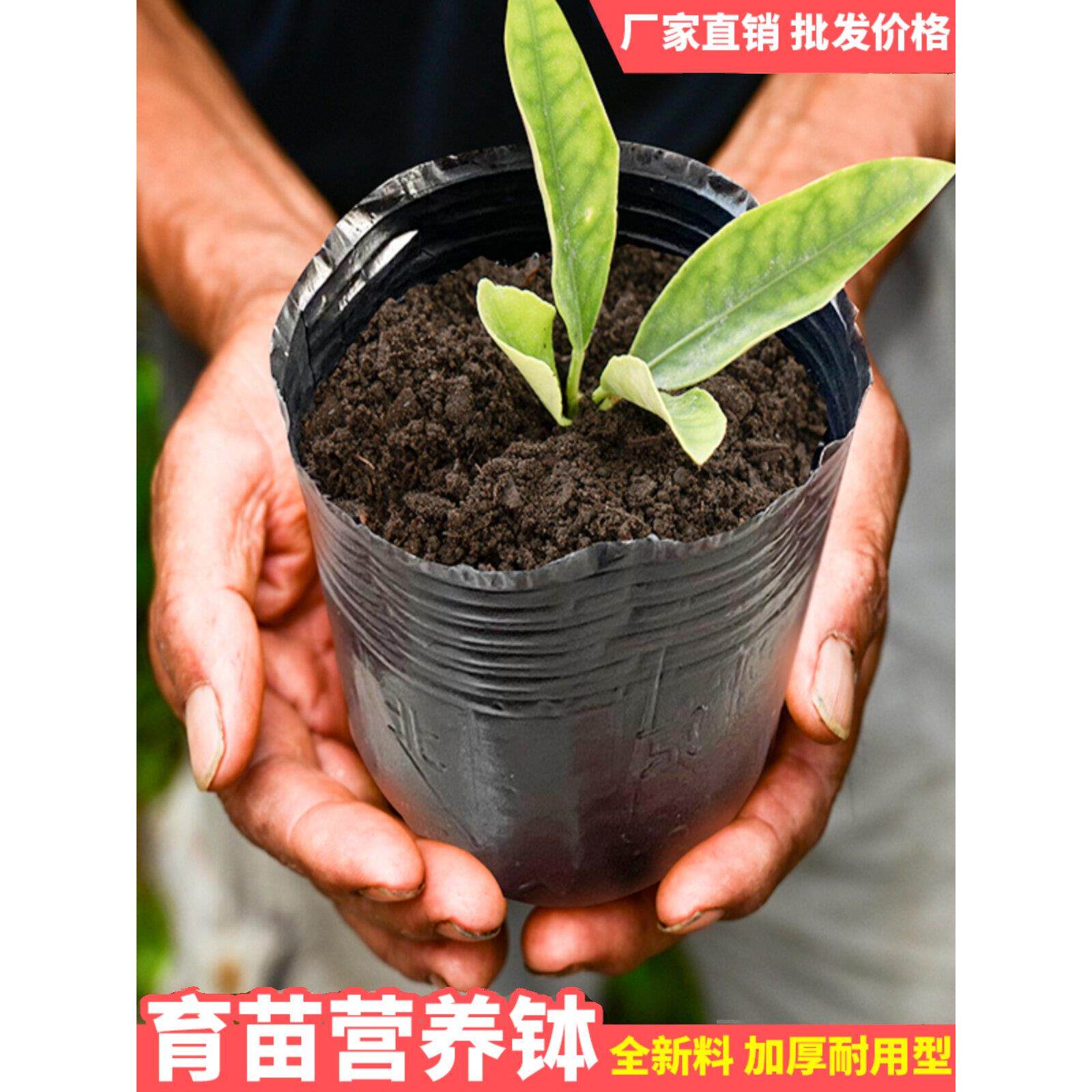 营养钵育苗盆营养杯育苗杯种植袋黑色农用抗老化简易营养袋育苗袋
