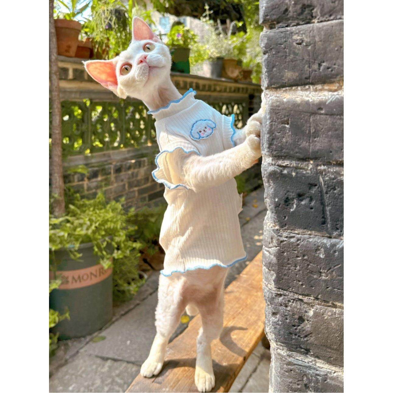 祇有这一生是一场梦”夏花蛋卷无袖背心德国无毛猫服装永和,宠物/宠物食品及用品,猫宠物服装/雨衣（新）,淘宝优惠券,粉丝福利购,淘宝优惠卷